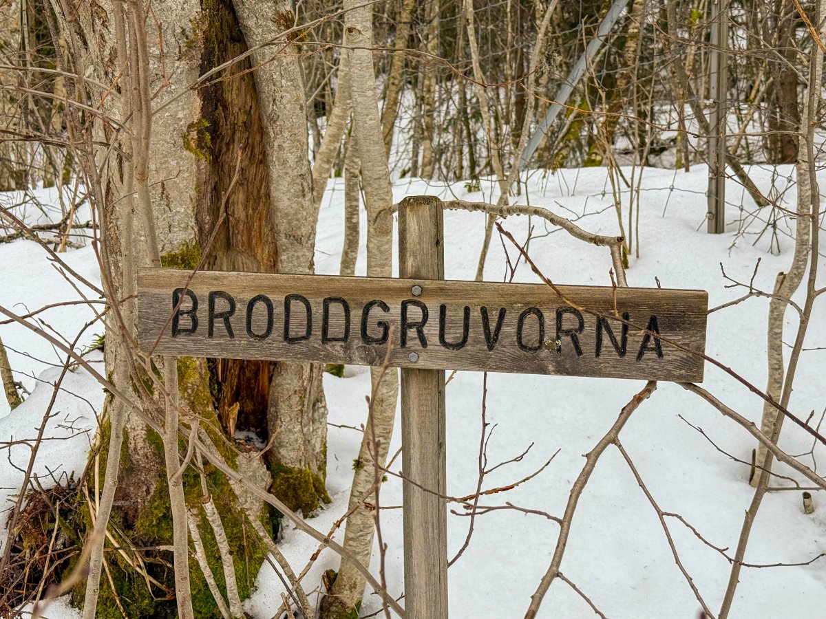 Foto Gruvor Broddgruvefältet, Säter