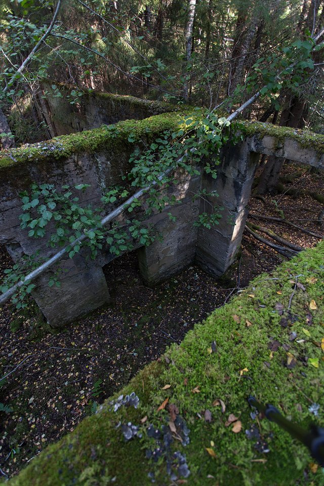 Ickorbottens gruva - oktober 2016 mossig ruin