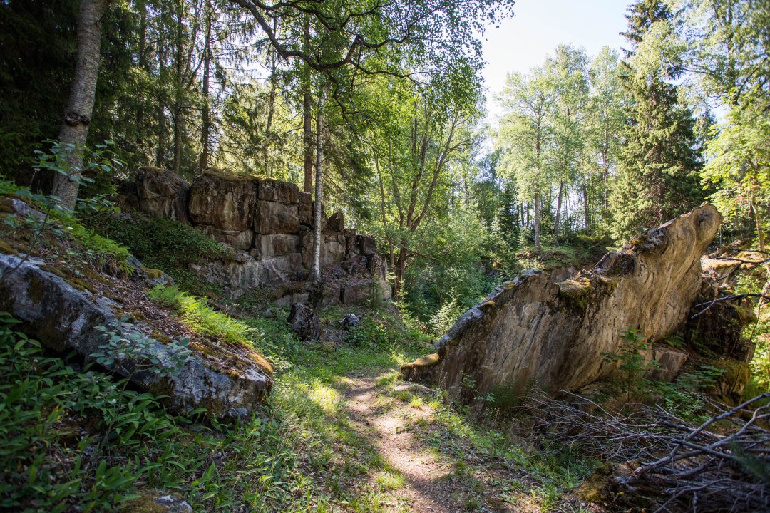 Kalkgruvhagen Garpenberg - juli 2018 stenar