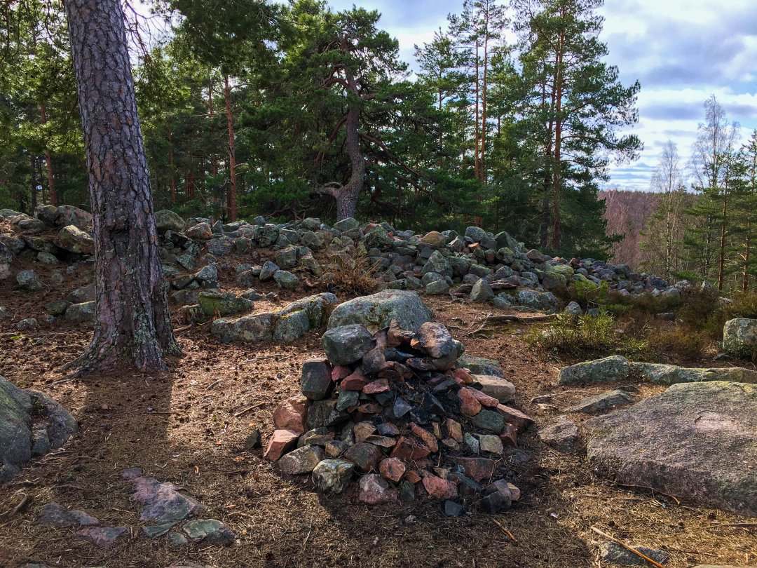 Salsta Fornborg - mars 2021 sten monument