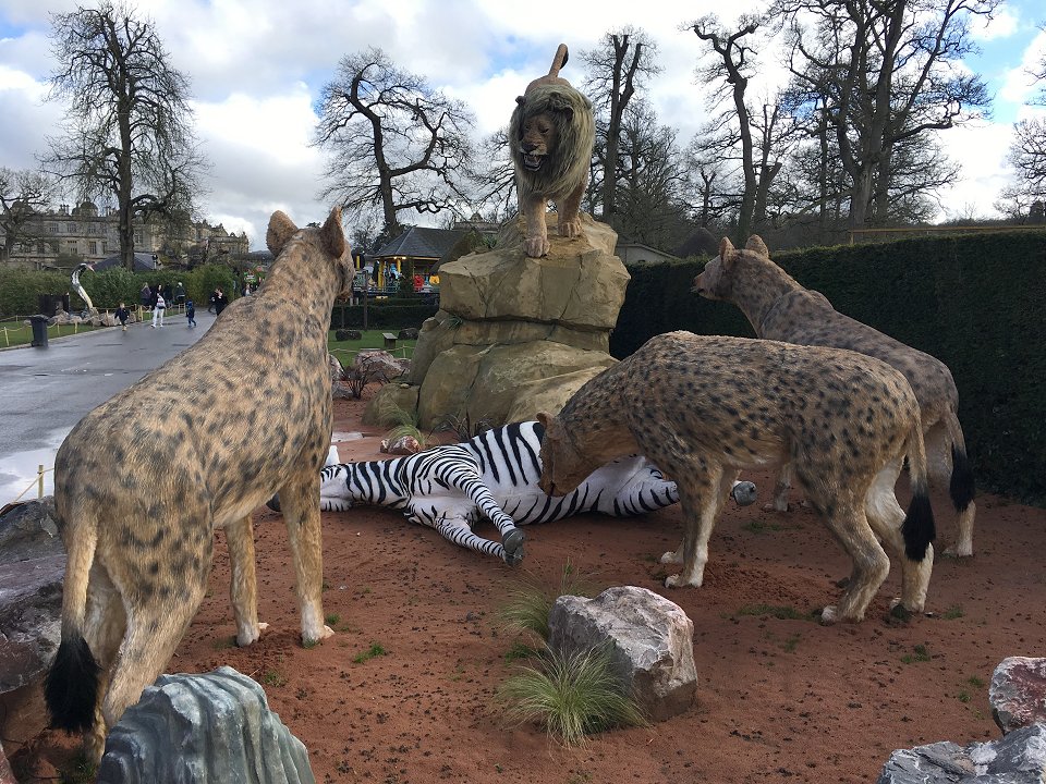 Longleat Manor Safari Park - april 2018 hyneor lejon