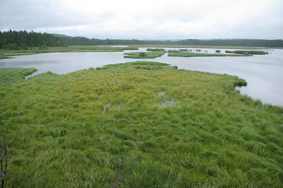 Ändsjön Frösön - juli 2009 regn over fogelsjon