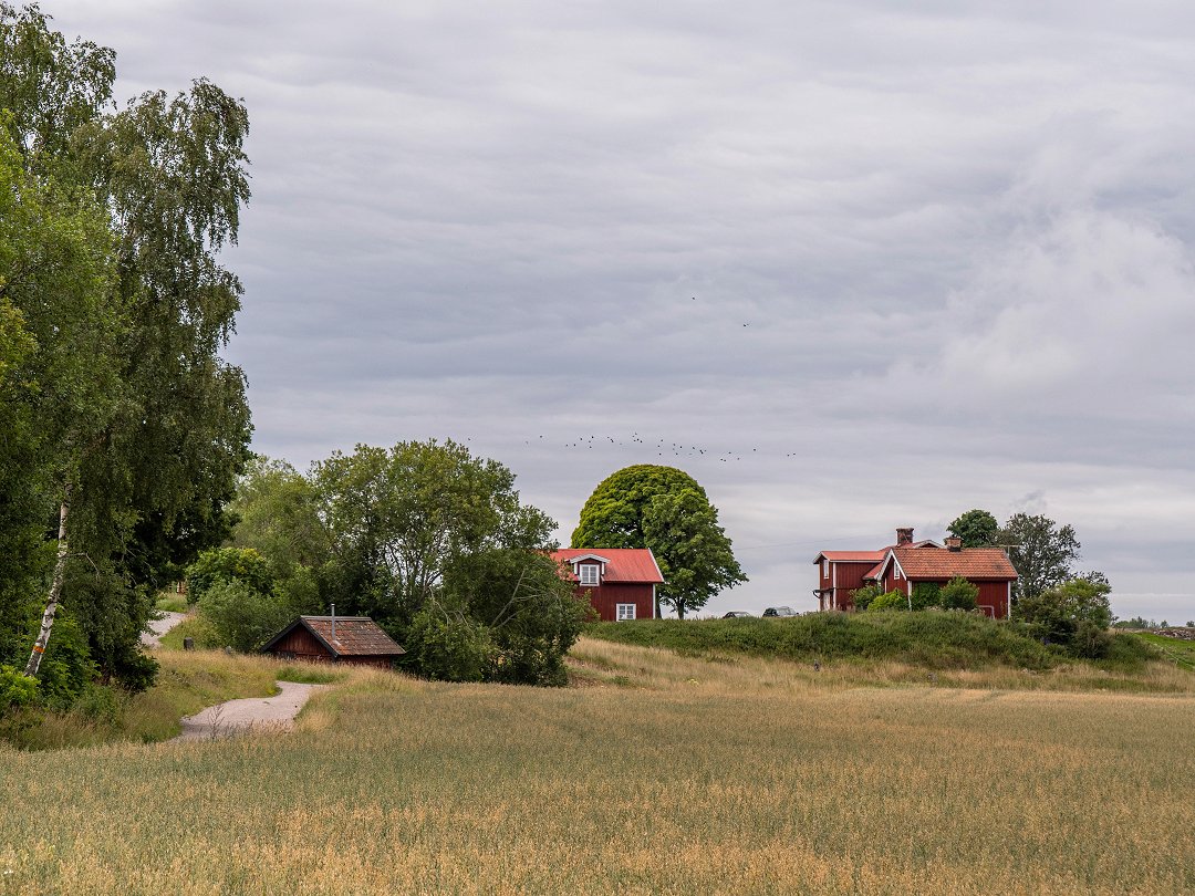 Angarnssjöängen - augusti 2019 aker hus