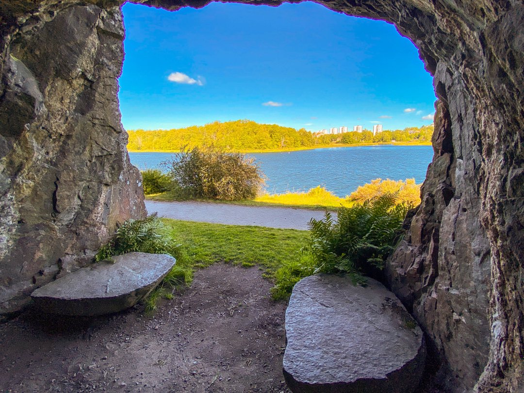 Foto Natur Bergianska trädgården, Frescati