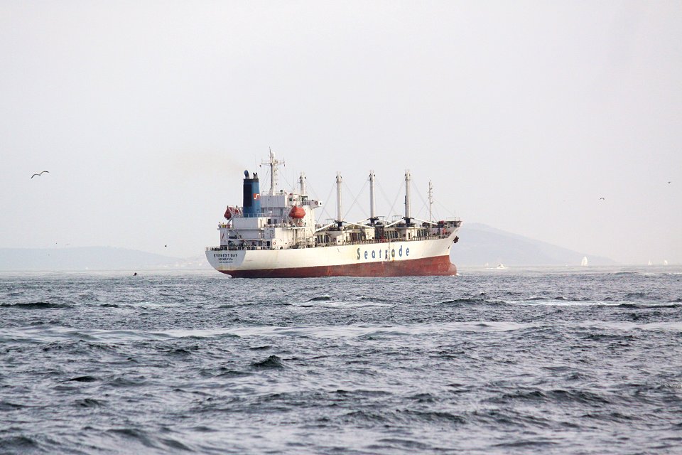 Bosporen Istanbul - mars 2013 cargo ship bosporen