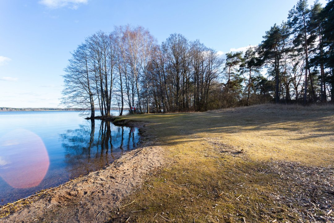 Fysingens naturreservat, Rosersberg - mars 2020 stranden