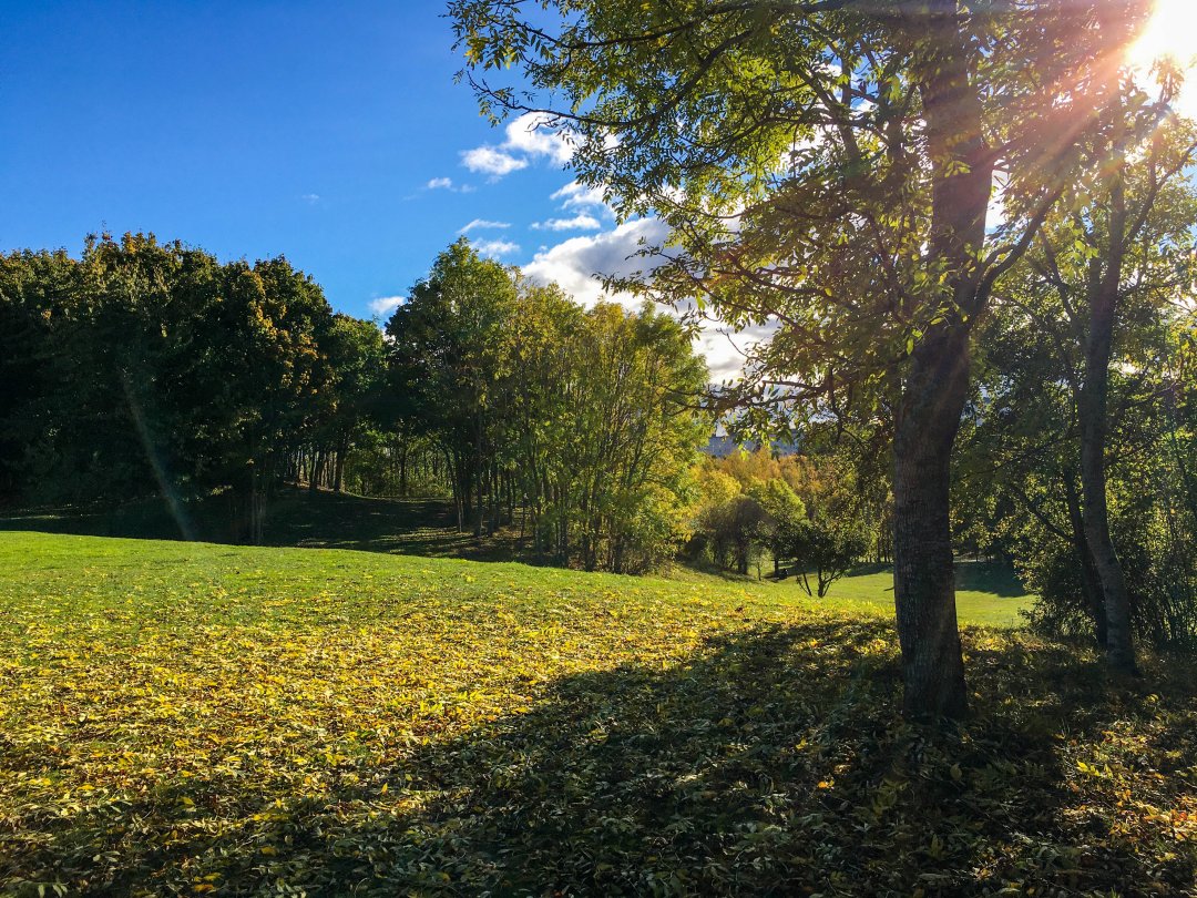Granholmstoppen, Järva – oktober 2020 sunny meadow