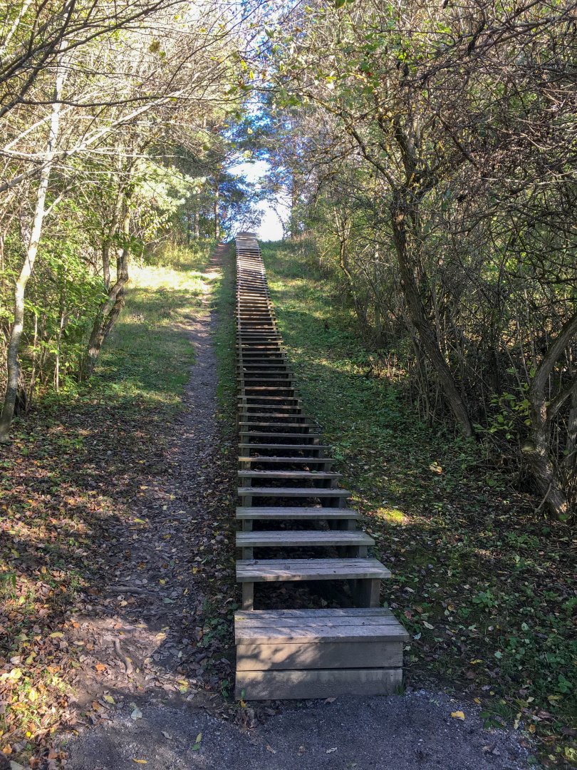 Granholmstoppen, Järva – oktober 2020 trappa
