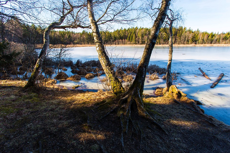 Gullsjön Täby - mars 2017 bjork is vatten
