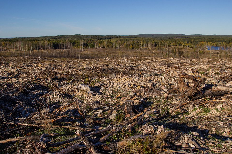 Hälleskogsbrännan - oktober 2016 complete ruin