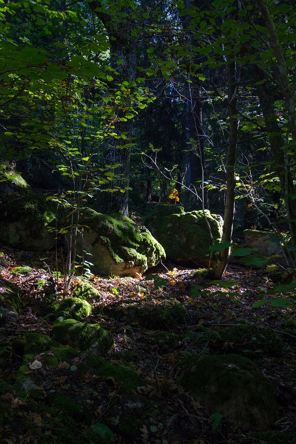 Hansta naturreservat - September 2013 ljus pa stenar