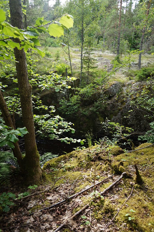 Humlehögsravinen - juli 2012 skog kanjon