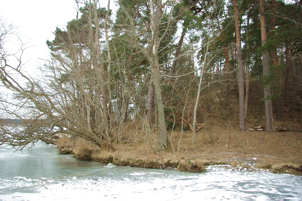 Huvududdens naturreservat - feb 2009 udden left