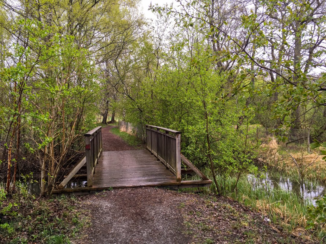 Igelbäckens naturreservat, Sundbyberg - maj 2022 andra bron