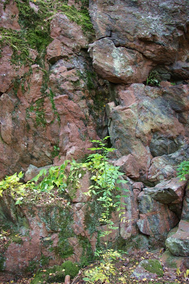 Judarskogens naturreservat - sept 2008 rod granit