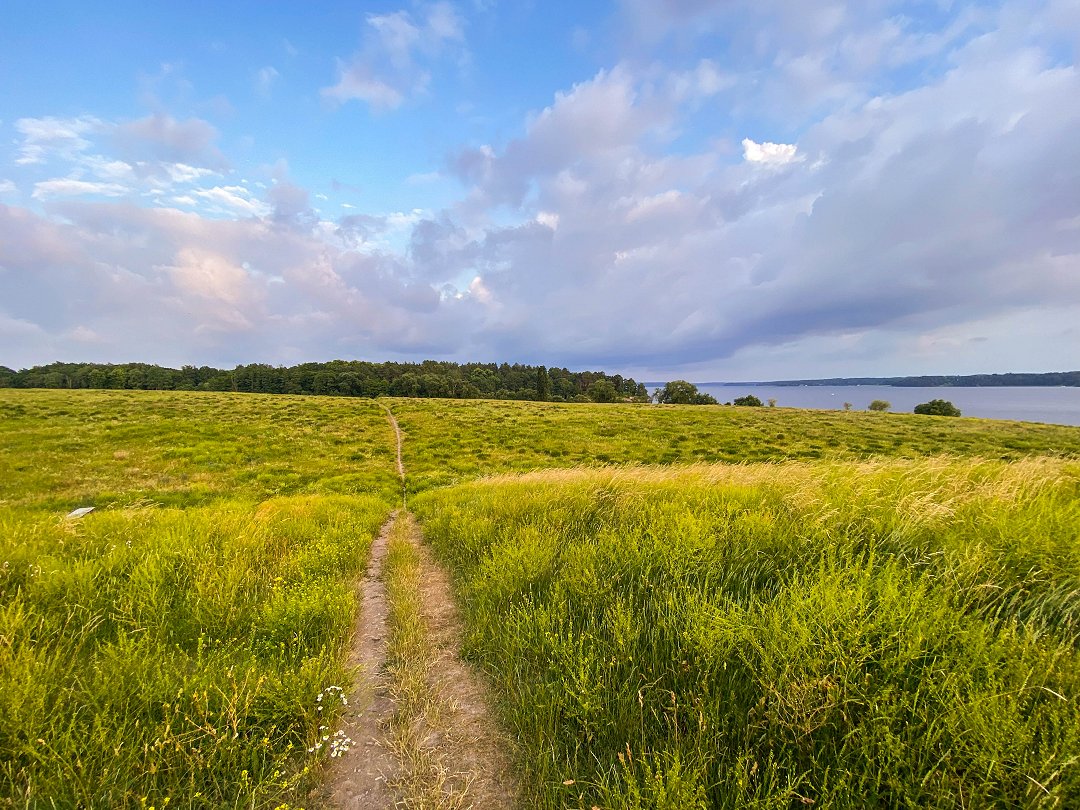 Lövsta strandpromenad, Hässelby - juni 2022 stig gras skog vatten