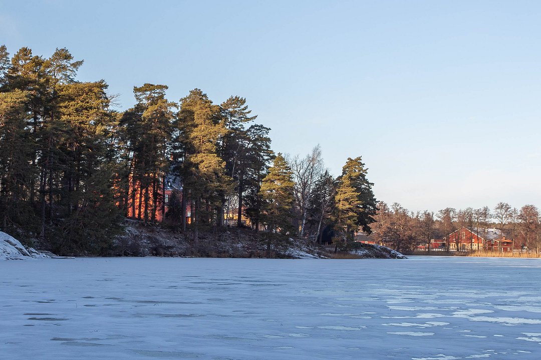 Lejondals naturreservat Bro - januari 2019 slottet
