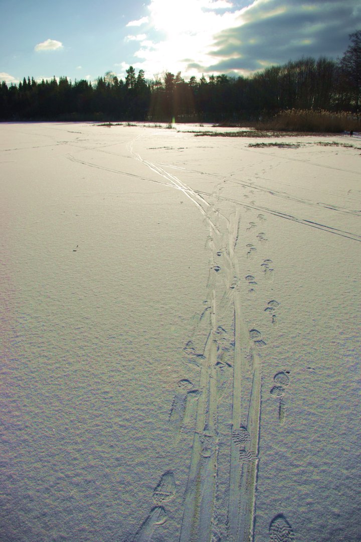Molnsättra naturreservat, Järfälla - oktober 2020 (feb 2009) tracks