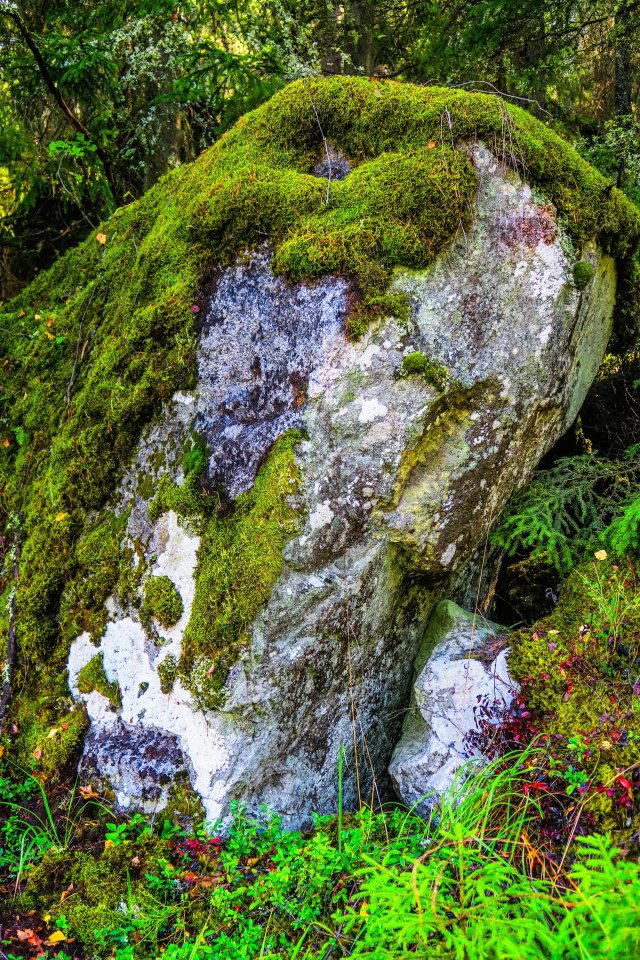 Myrkarby Naturreservat - augusti 2017 the stone