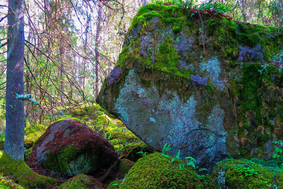 Myrkarby Naturreservat - augusti 2017 troll sten