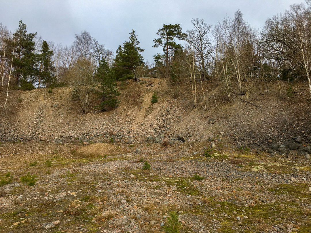 Oxhagens naturreservat - mars 2021 asen