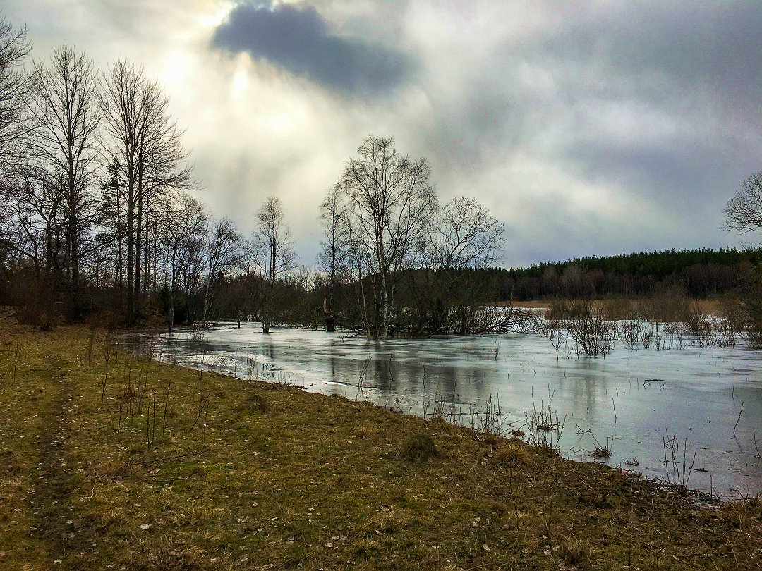 Oxhagens naturreservat - mars 2021 flood