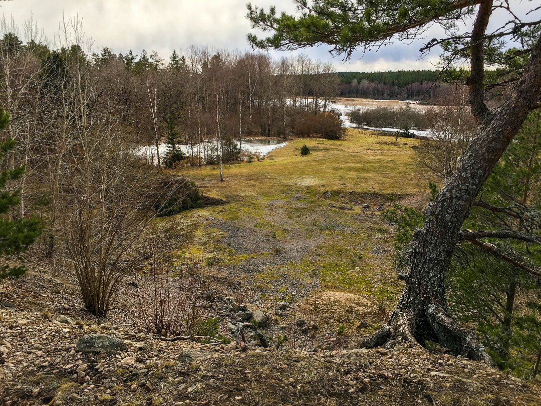 Oxhagens naturreservat - mars 2021 gult och brunt