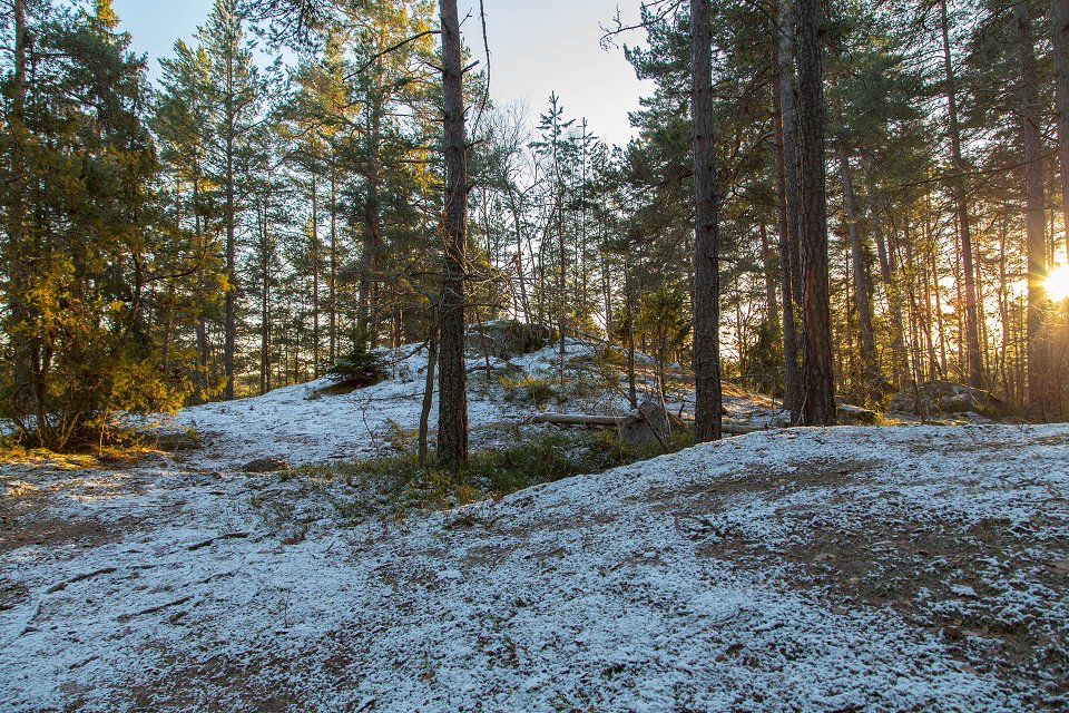 Rösjöskogens naturreservat - januari 2017 uppe toppen