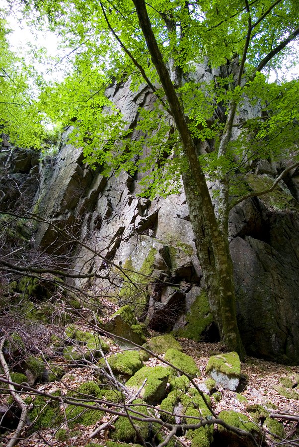 Söderåsens Nationalpark - juli 2011 klippor