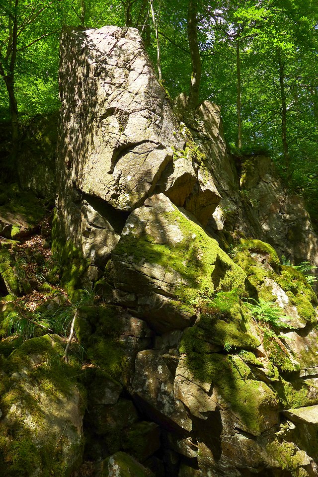 Söderåsens Nationalpark - juli 2011 klippor monolit