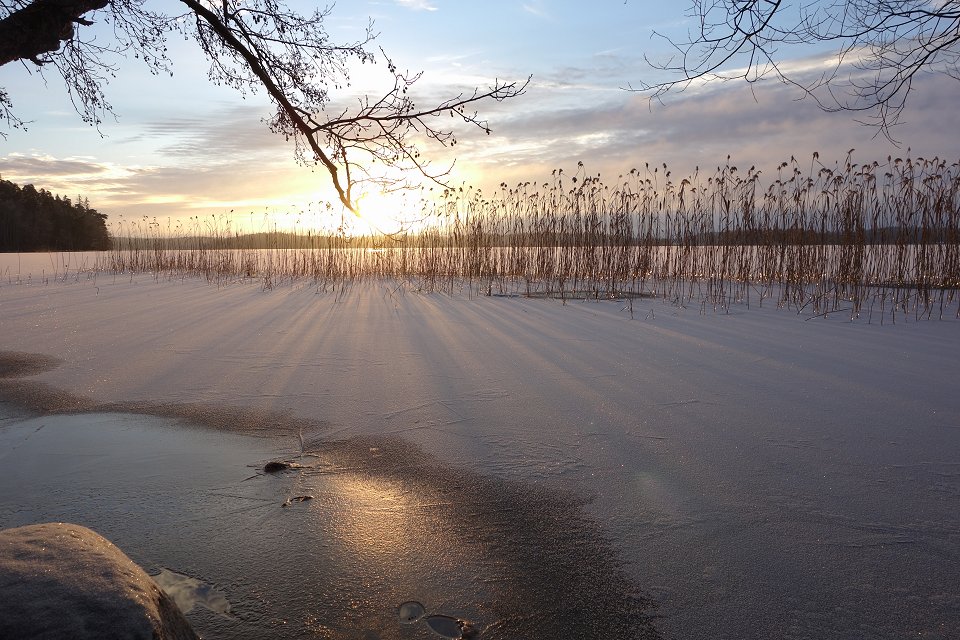 Sandvik Viksjö - januari 2013 solen gnistrar