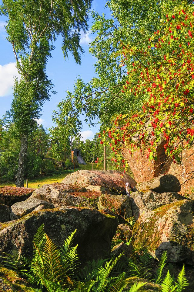 Skattmansöådalens naturreservat - augusti 2017 ronnbar