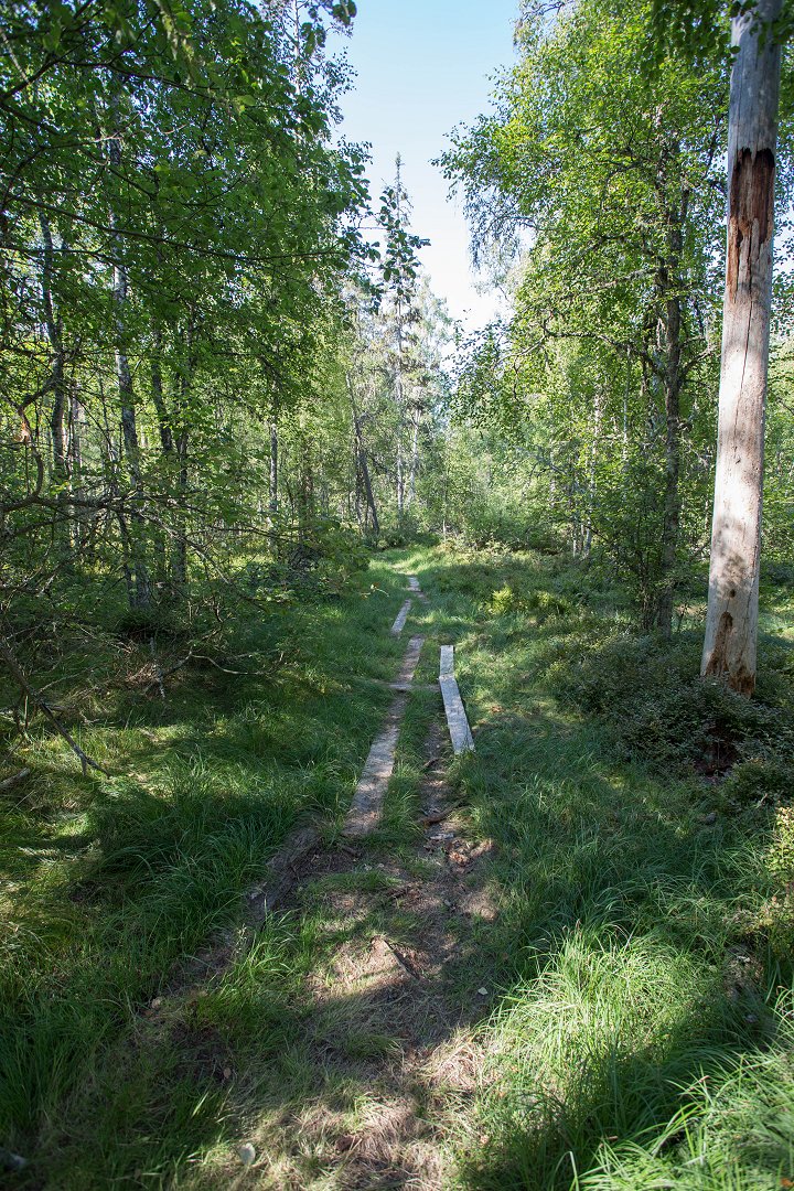 Skurugata Småland - juli 2018 stigen