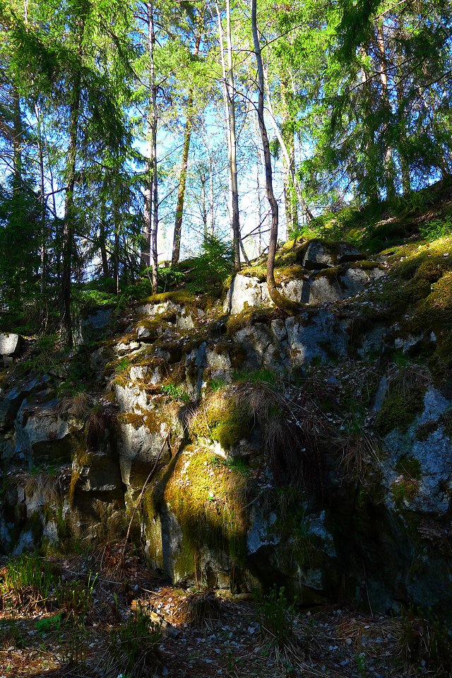 Stäketskogens naturreservat - maj 2011 klippor i skogen