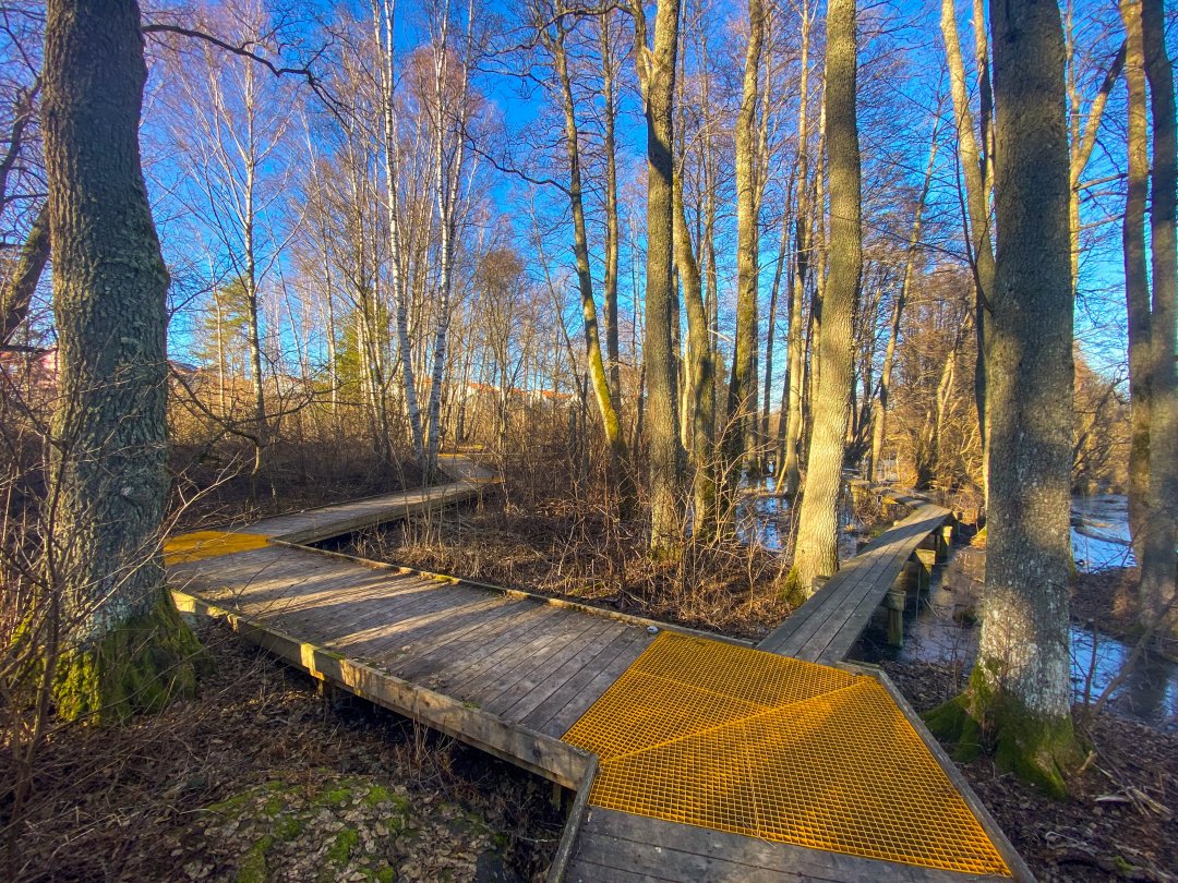 Strandskogen, Täby – februari 2023 gul matta