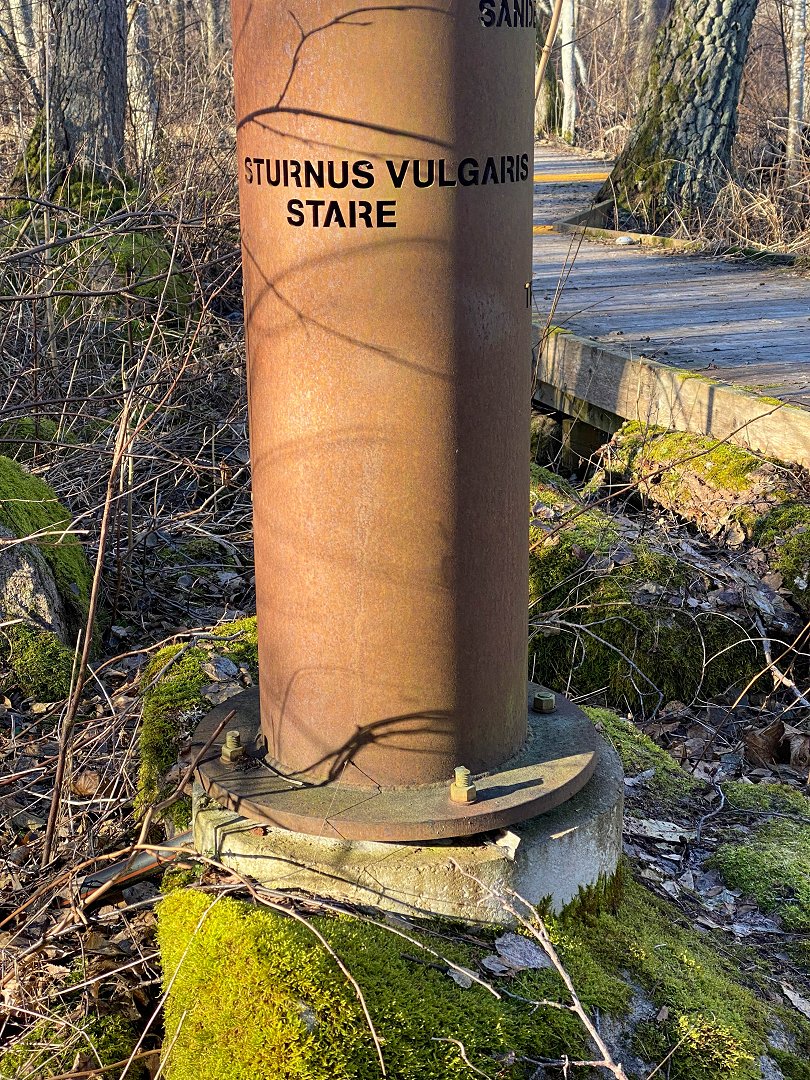 Strandskogen, Täby – februari 2023 stolpe av stal
