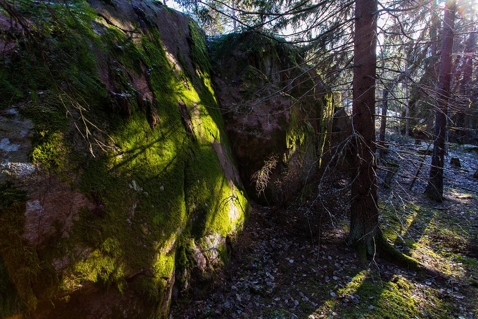 Törnskogens naturreservat - mars 2017 gron mossa pa stenarna