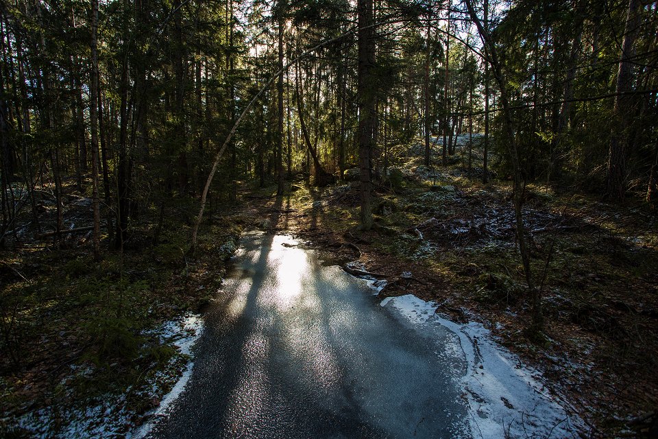 Törnskogens naturreservat - mars 2017 solen blanker i isen