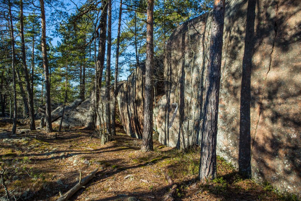 Törnskogens naturreservat - mars 2017 trad klippa