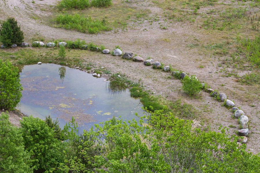 Torslundagropens naturreservat - maj 2016 dammen