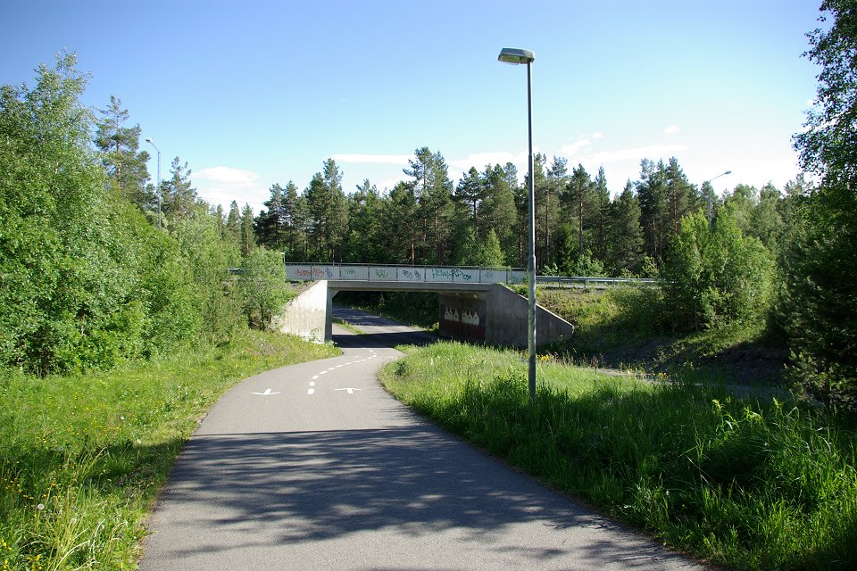 Torvalla urskog - juni 2008 gangtunnel