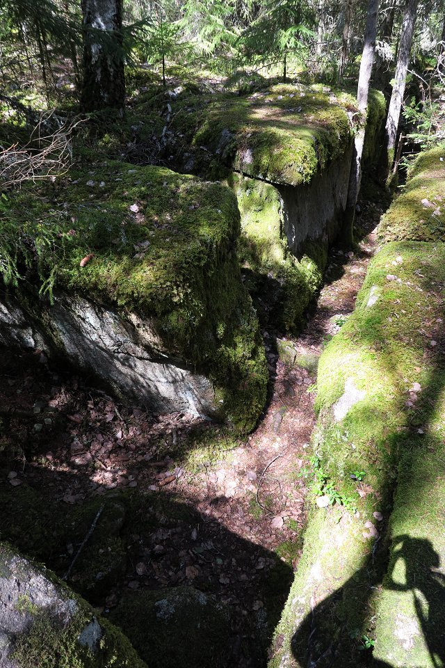 Trollegaters naturreservat - juli 2017 mossiga stenar