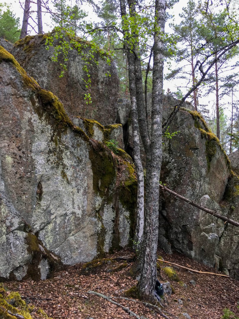 Trolltrappan, Fjärdhundra - maj 2022 sten stammar
