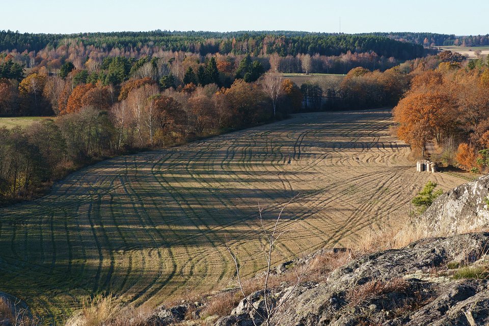 Trosa - oktober 2012 odlingsmark trosa