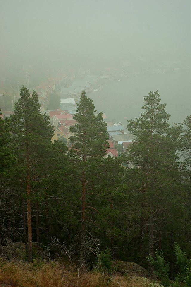 Ulvön - juli 2009 trad dimma