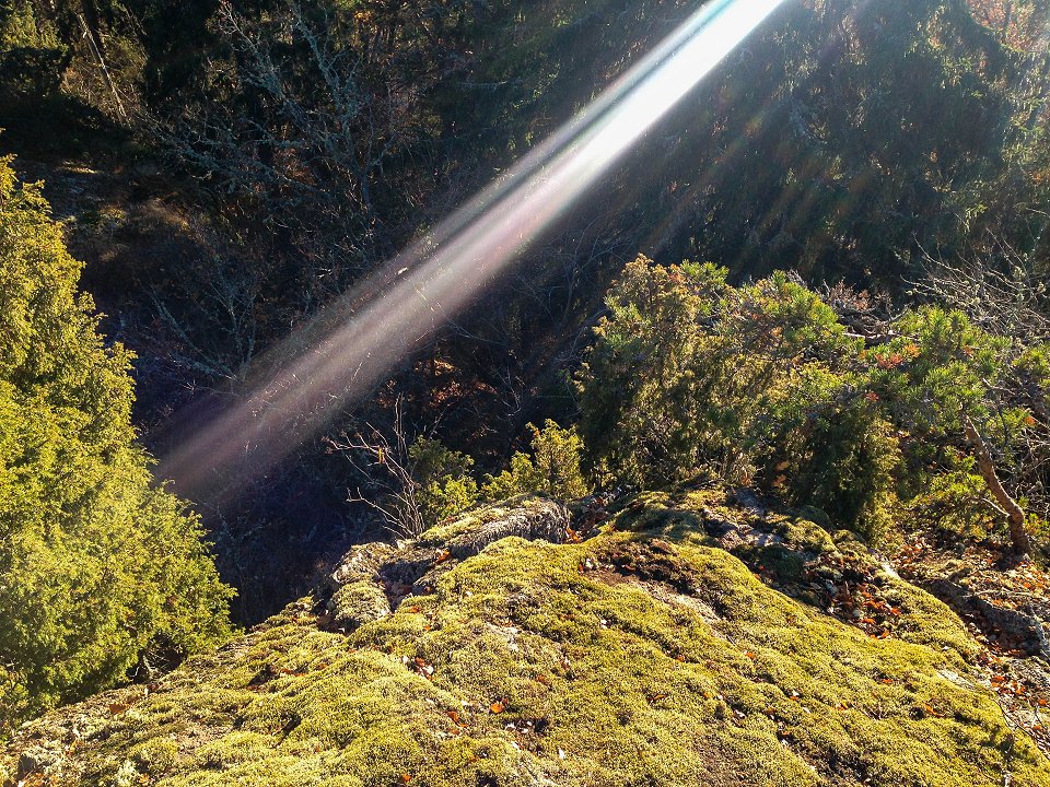 Uvbergets naturreservat - oktober 2016 ray of light