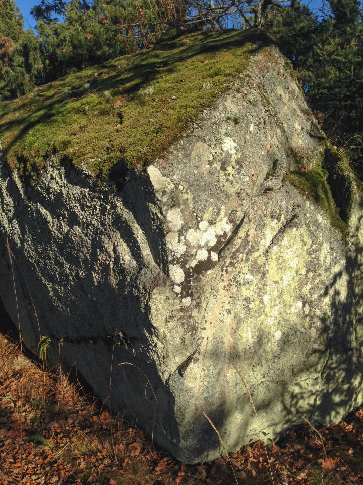 Uvbergets naturreservat - oktober 2016 stenen