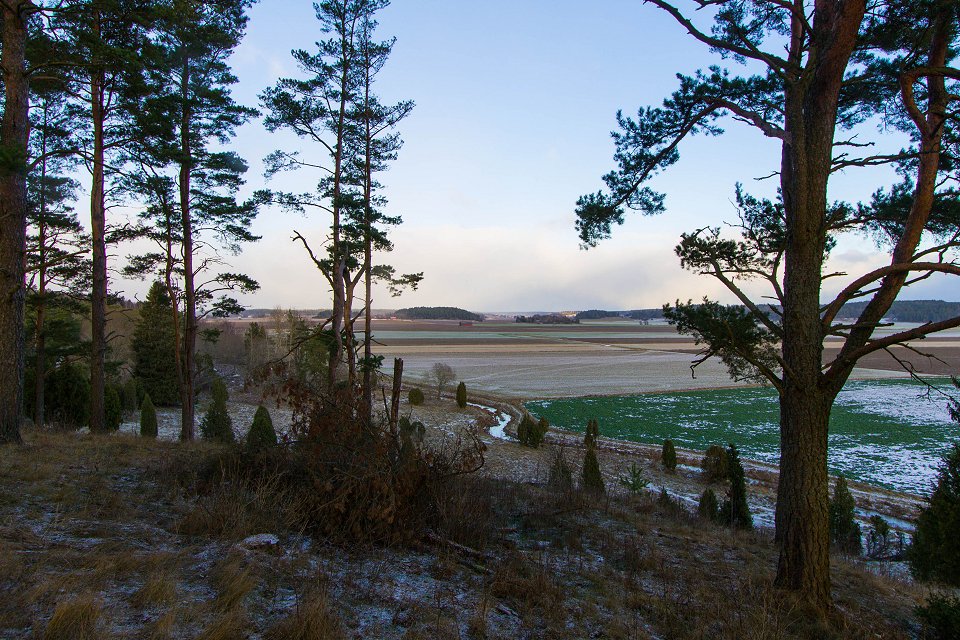 Vånsjöåsens naturreservat - november 2016 utsikten norrut