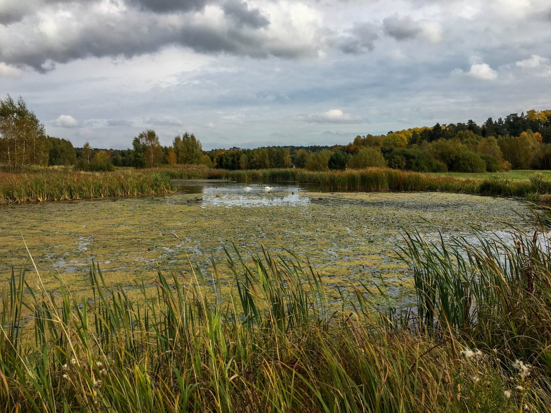 Vattenparken, Enköping - oktober 2021 sensommar