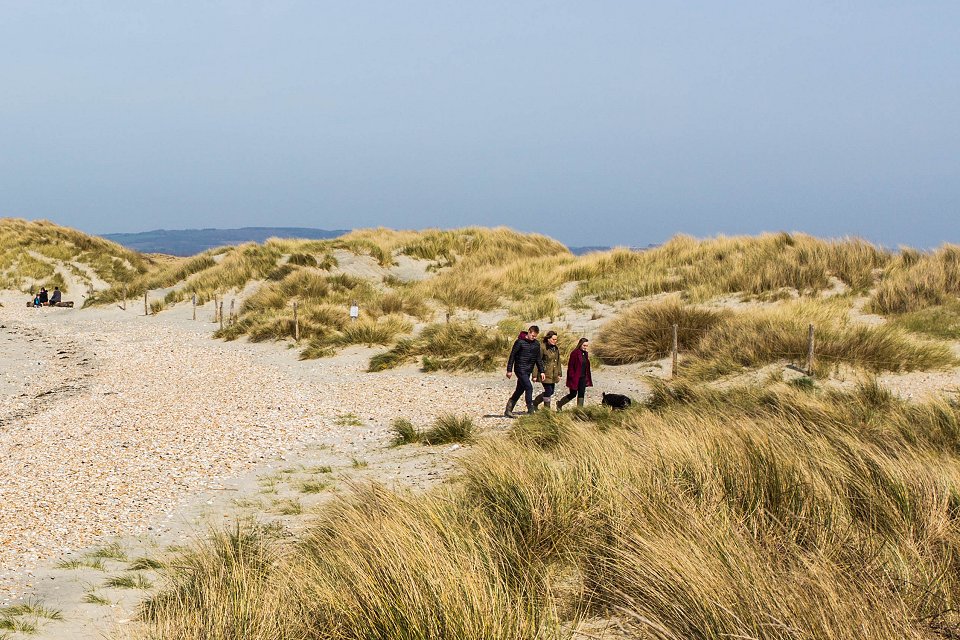 West Wittering Beach England - april 2018 dunes